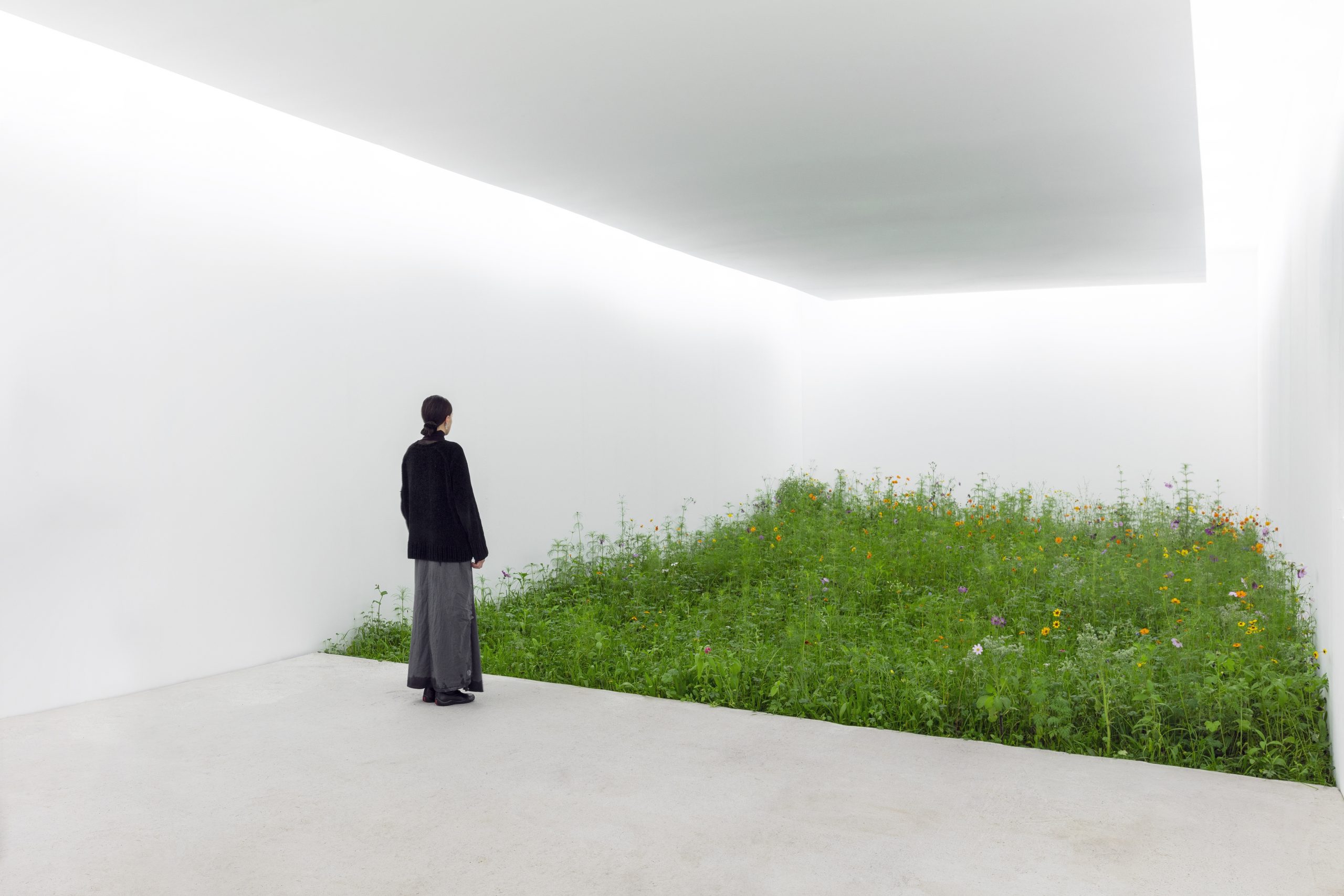 Una mujer contempla de pie una instalación artística que consiste en una habitación de paredes blancas muy iluminada cuyo suelo es un campo natural de hierba y flores.