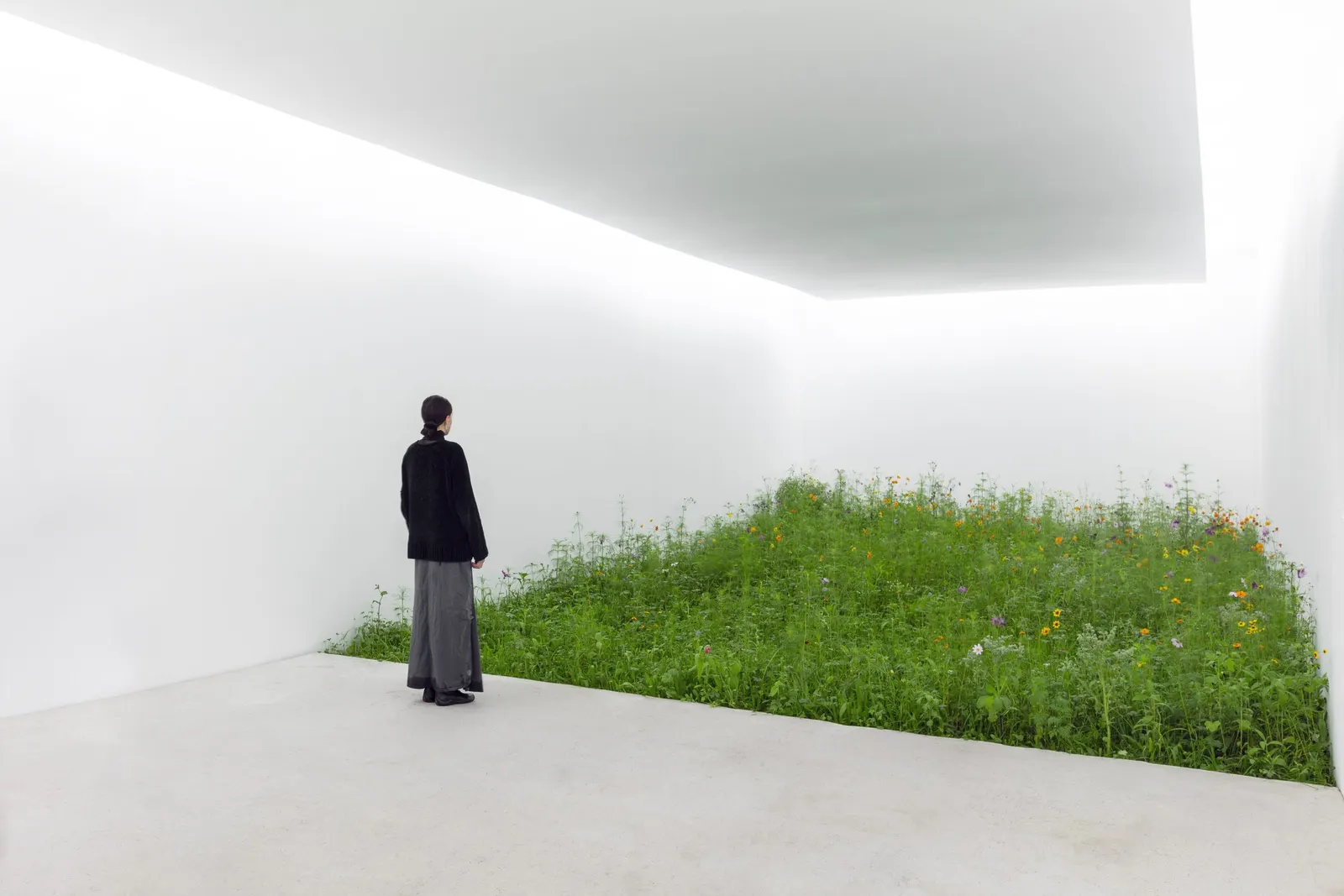 Una mujer contempla de pie una instalación artística que consiste en una habitación de paredes blancas muy iluminada cuyo suelo es un campo natural de hierba y flores.