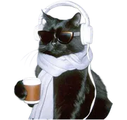 Gato escuchando música