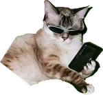 Gato mirando el móvil