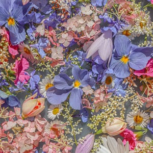 Flowermaxxing 🌸🐝💚🐞🌻💗