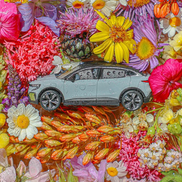 Rolling into the summer with @renaultuk like… 🌸🌷🌻
 
Loving all new #Renault Megane #ETech 100% #electric techno versi