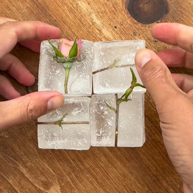 Create, create, create. 💚