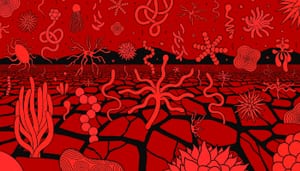 Our Warming Planet Is a Petri Dish for New and Deadly Microbes

“Flesh-eating” bacteria is spreading. Infectious fungi a