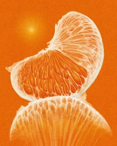 Tangerine 🍊