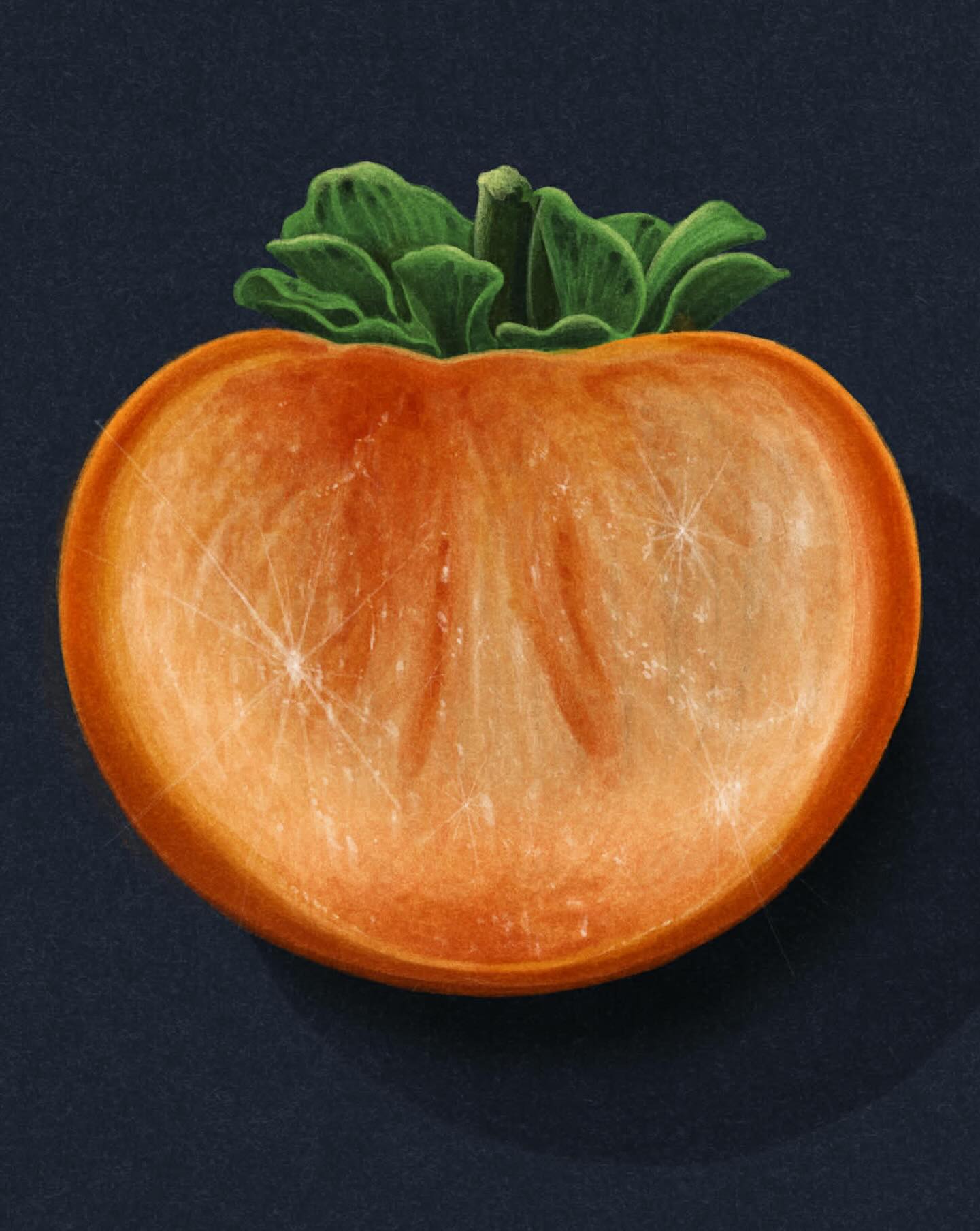 Persimmon