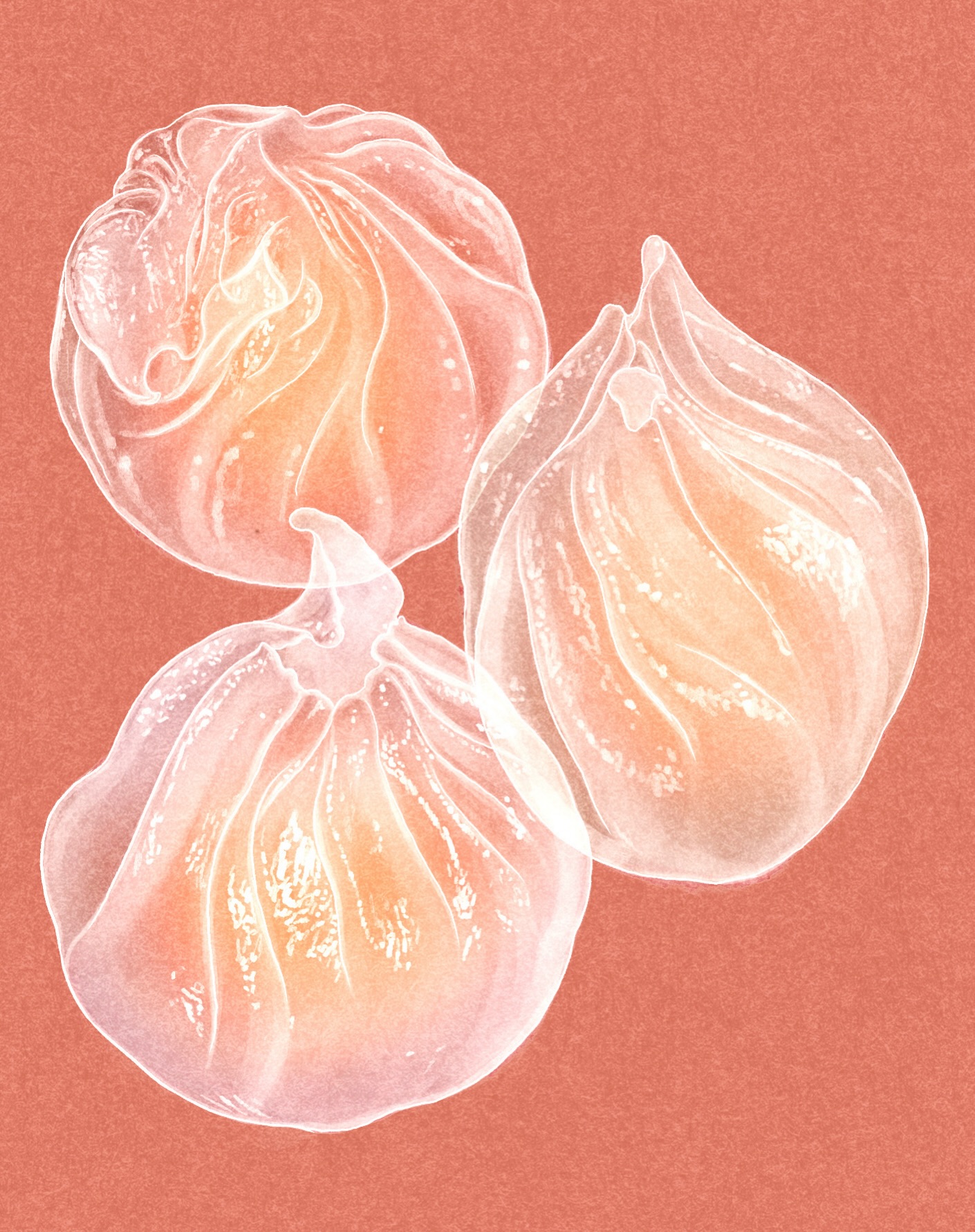 For Bangkok-based artist Terawat Teankaprasith @oterawat , no dumpling is nearly as alluring as har gow. “The first bite