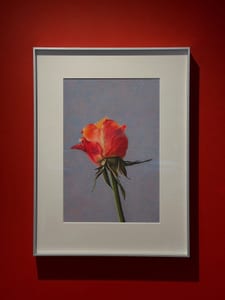 Stille Wege – unsere jetzige Ausstellung 
mit Arbeiten von Quint Buchholz und Sime
zu sehen 

Juli bis Oktober.

Diensta