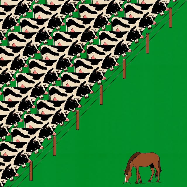 Food & Friend 🍔

#illustration #food #friend #nature #nature