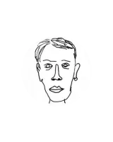 davidshrigley