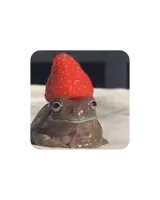 Gárgola Digital